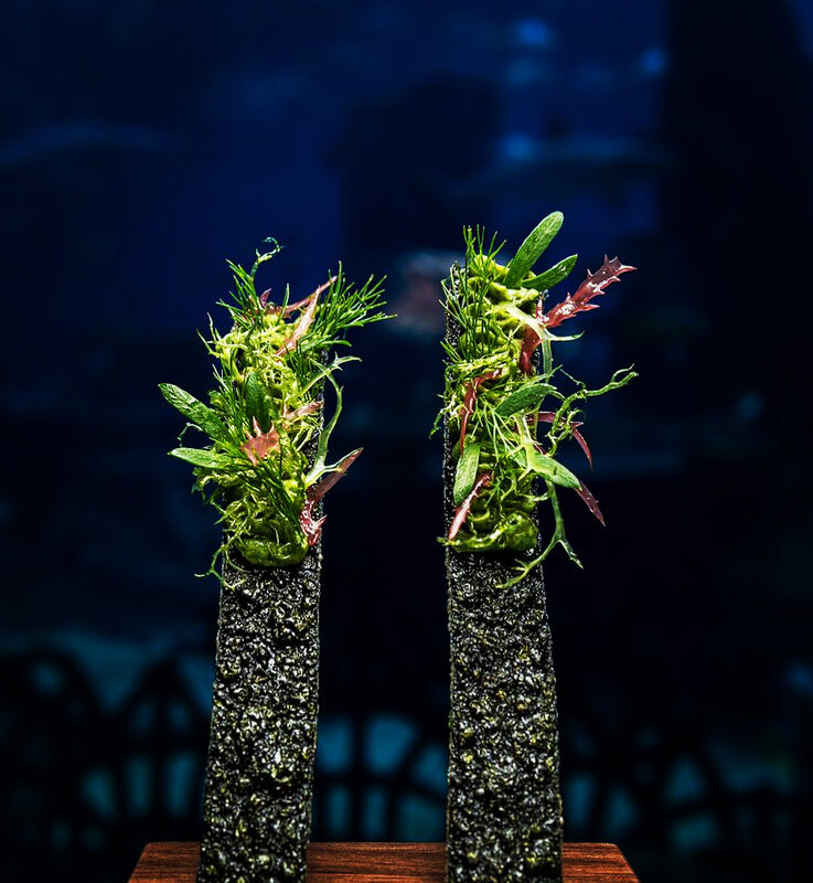 Dish B38A534E-F659-4FBC-8E46-A1C62E01F93F