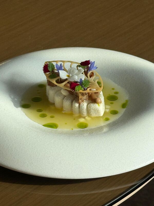 Dish a8df0c53-5d64-4f21-a6f8-8a277de16d69